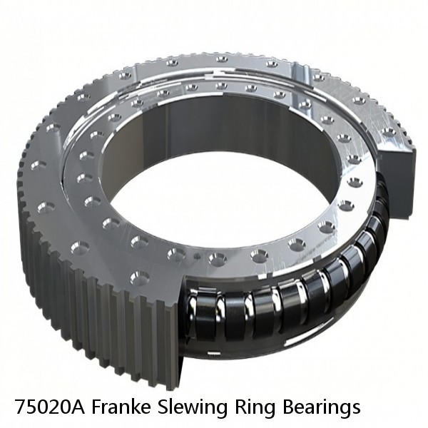 75020A Franke Slewing Ring Bearings