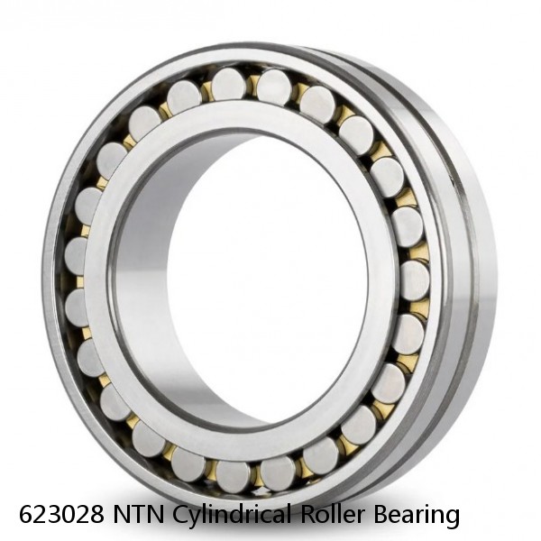 623028 NTN Cylindrical Roller Bearing