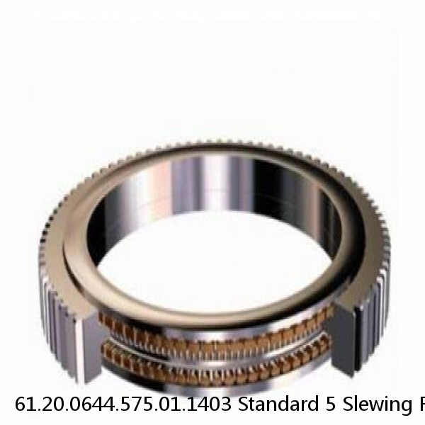 61.20.0644.575.01.1403 Standard 5 Slewing Ring Bearings