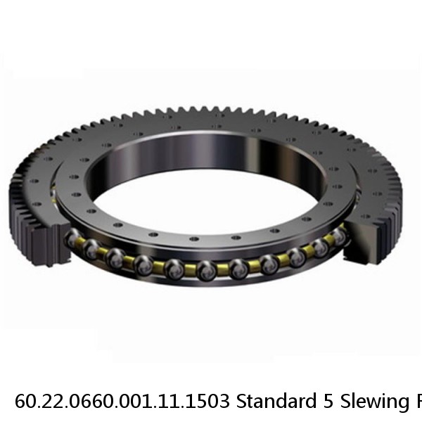 60.22.0660.001.11.1503 Standard 5 Slewing Ring Bearings