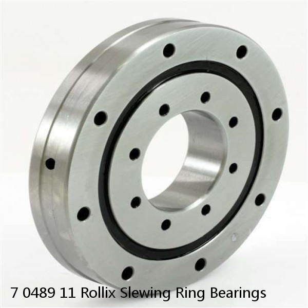 7 0489 11 Rollix Slewing Ring Bearings