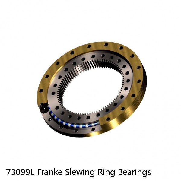 73099L Franke Slewing Ring Bearings