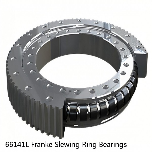 66141L Franke Slewing Ring Bearings